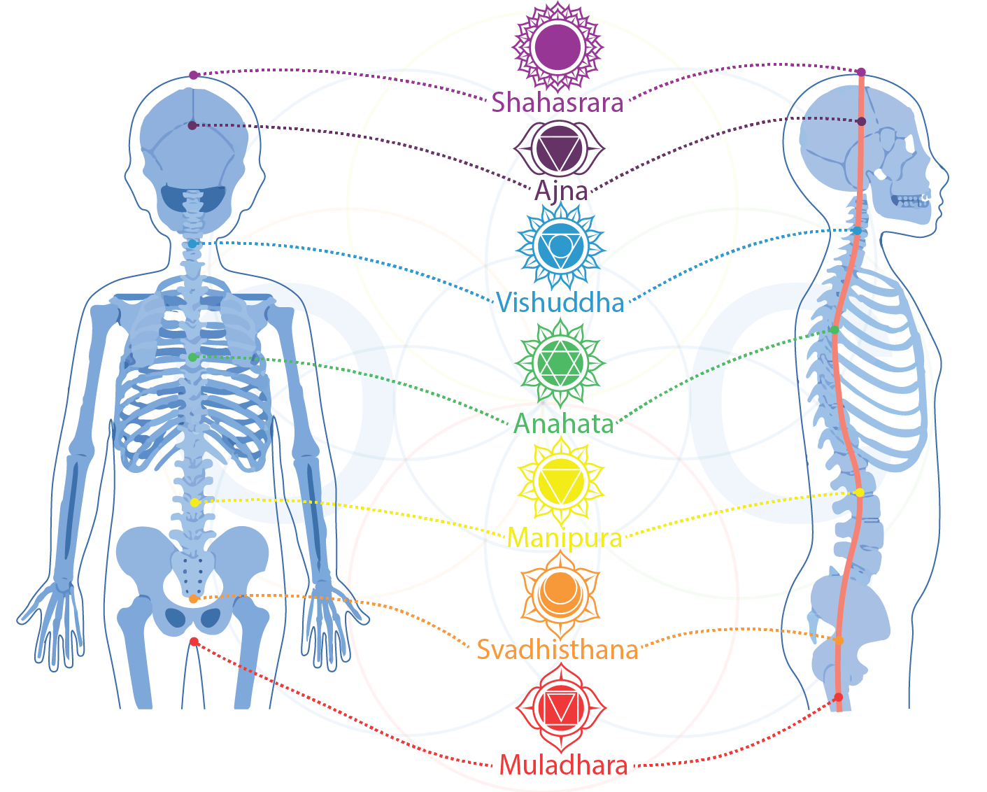 chakras principales y su ubicaciones en el cuerpo humano